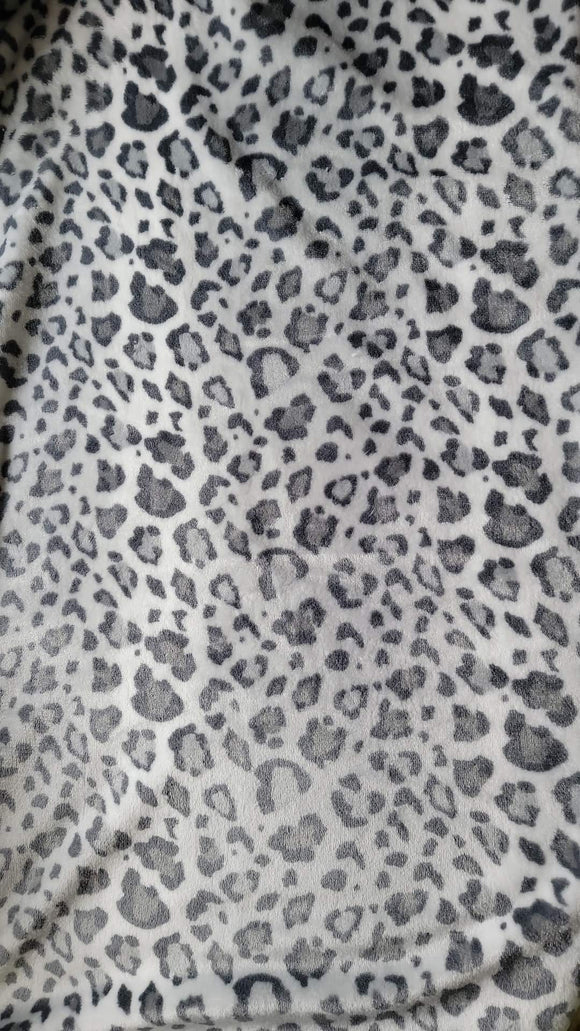 Grey Cheetah